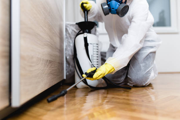 Best Commercial Pest Control Services  in Santa Teresa, NM