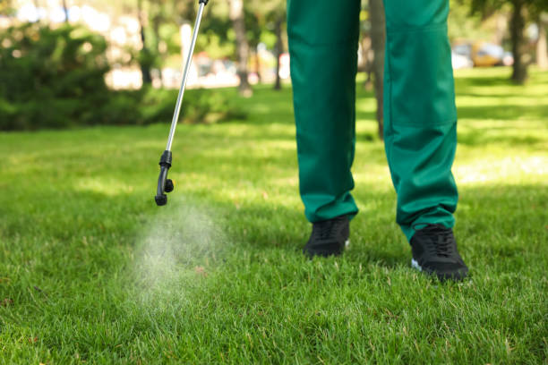Best Best Pest Control Companies  in Santa Teresa, NM