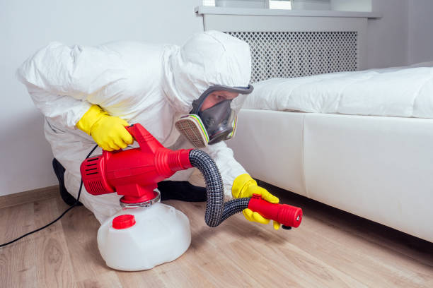 Best Pest Control Near Me  in Santa Teresa, NM