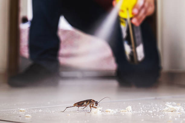Best Cockroach Control Services  in Santa Teresa, NM